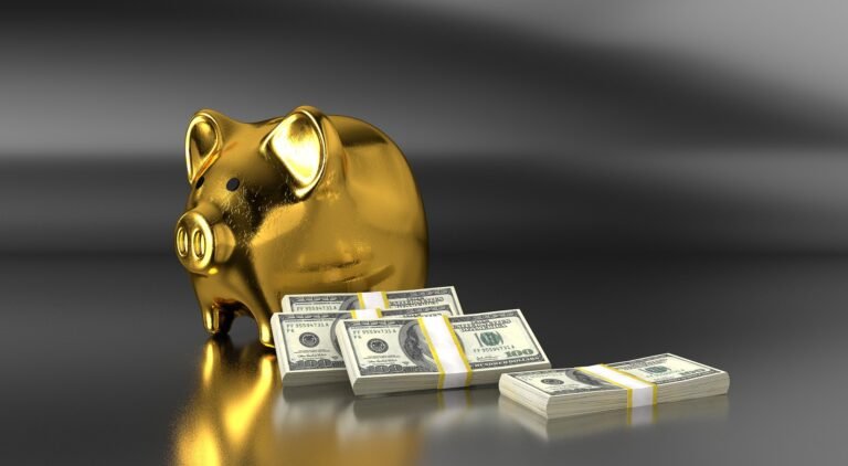 Savings vs Checking Account